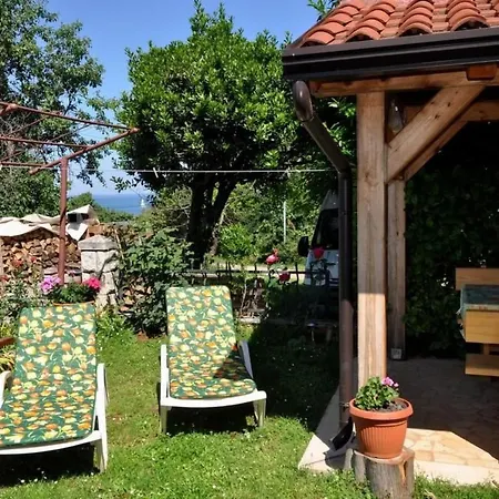 Sonja Dajla Direkt Am By Interhome Novigrad Istria